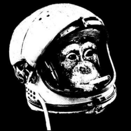 Spacemonkey 