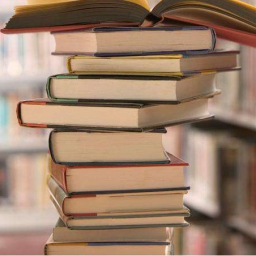 The Librarian 