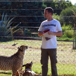 JayCheetah 