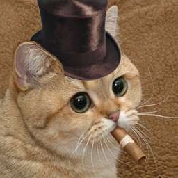 Meister 