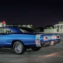 SuperBee 