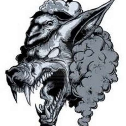 WolfInSheepsClothing 