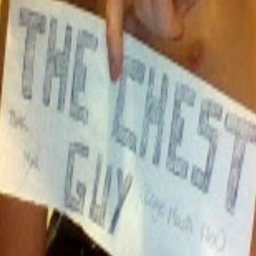 The Chest Guy 