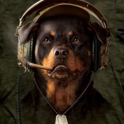 RottDog 