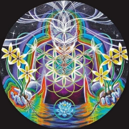 Zerenity 
