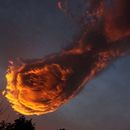 Once bitten twice shy 