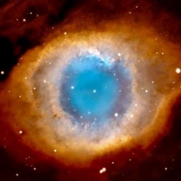 Stargazer 