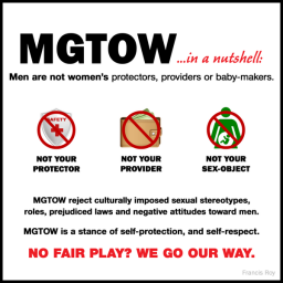 The Ok MGTOW Person 