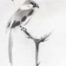 The Shrike 