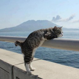 Everything is all we've got 