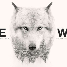 Wolf redpillman 