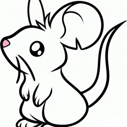 Laboratory Mouse 